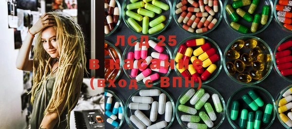 ГАЛЛЮЦИНОГЕННЫЕ ГРИБЫ Алексин