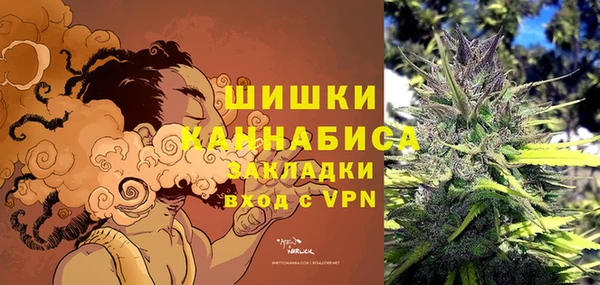 шишки Алексеевка
