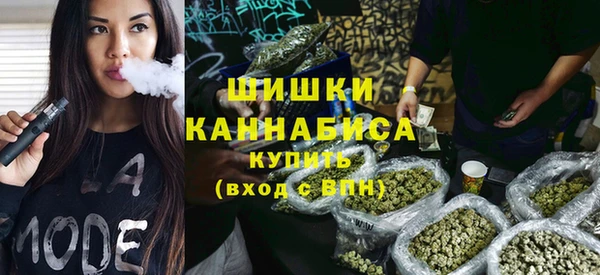 шишки Алексеевка
