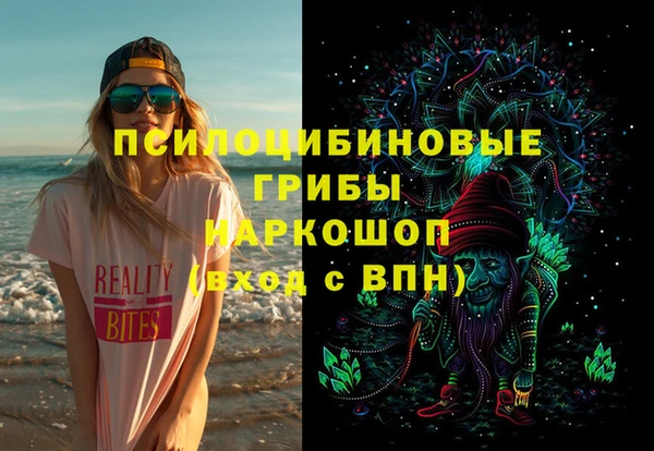 ГАЛЛЮЦИНОГЕННЫЕ ГРИБЫ Алексин
