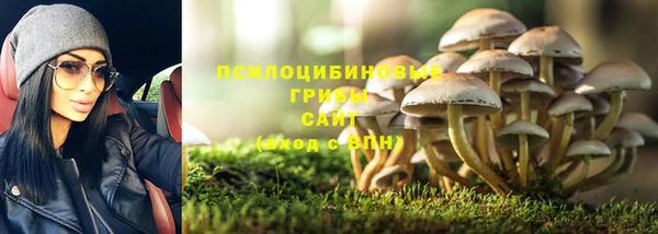 ГАЛЛЮЦИНОГЕННЫЕ ГРИБЫ Алексин