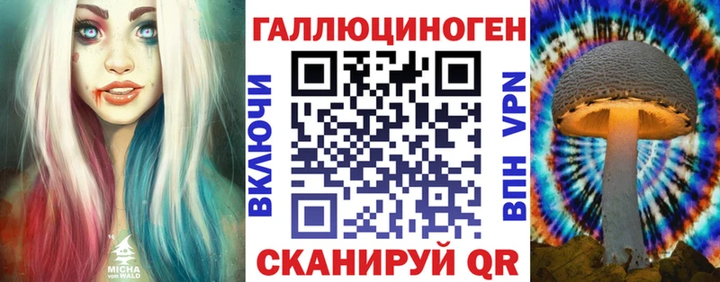 Псилоцибиновые грибы Magic Shrooms  купить наркоту  Николаевск 